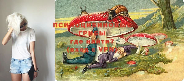 сатива Нязепетровск