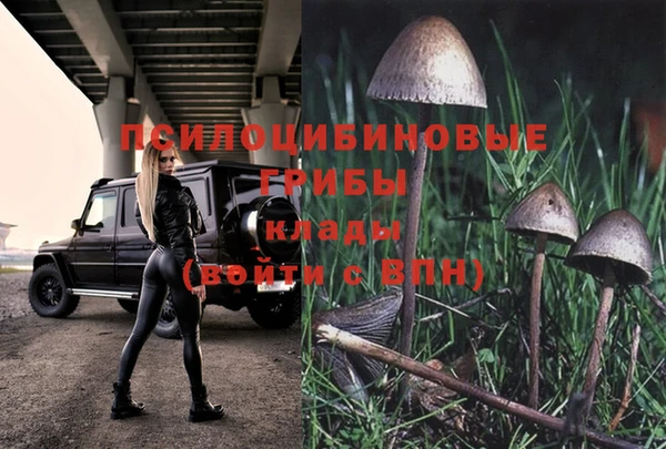 круглые Нягань