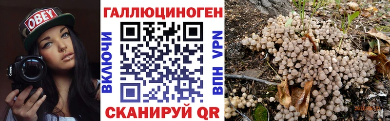 Галлюциногенные грибы GOLDEN TEACHER  Брянск 