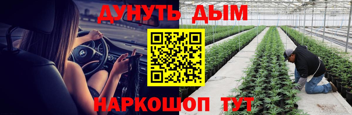 Каннабис сатива  Вход с VPN  Канабис Ganja  Брянск  Бошки Шишки планчик 